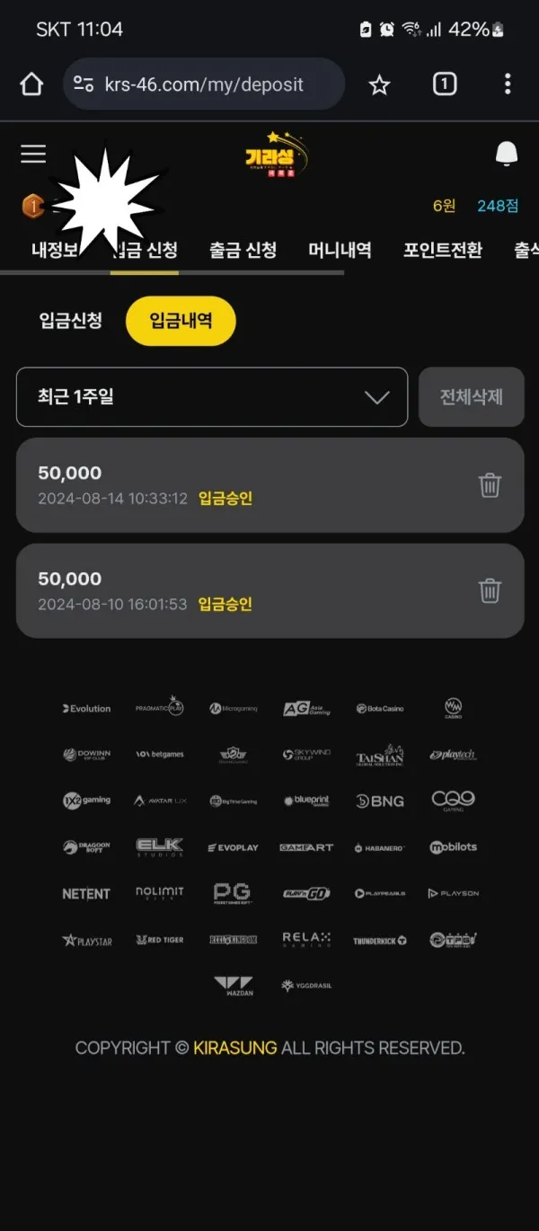 증거 이미지 2