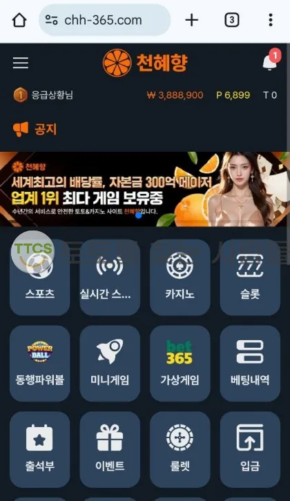 증거 이미지 2