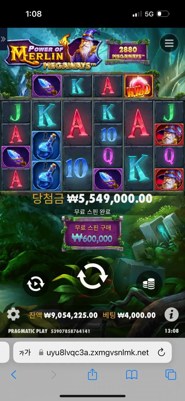 증거 이미지 5