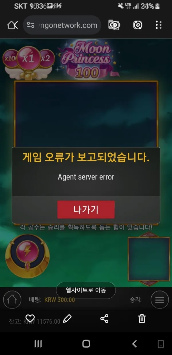 증거 이미지 3