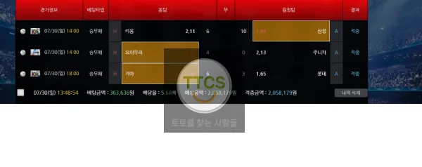 증거 이미지 1